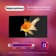 Negro fuertes Smart TV LG OLED evo AI C5 4K